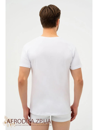 Мужская футболка 201-3 из хлопка