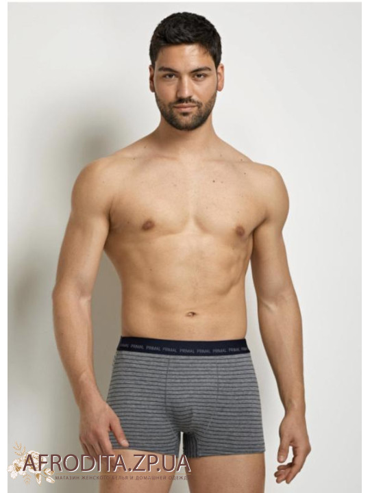 Чоловічі труси боксери Primal B328