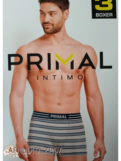 Мужские трусы боксеры Primal B356