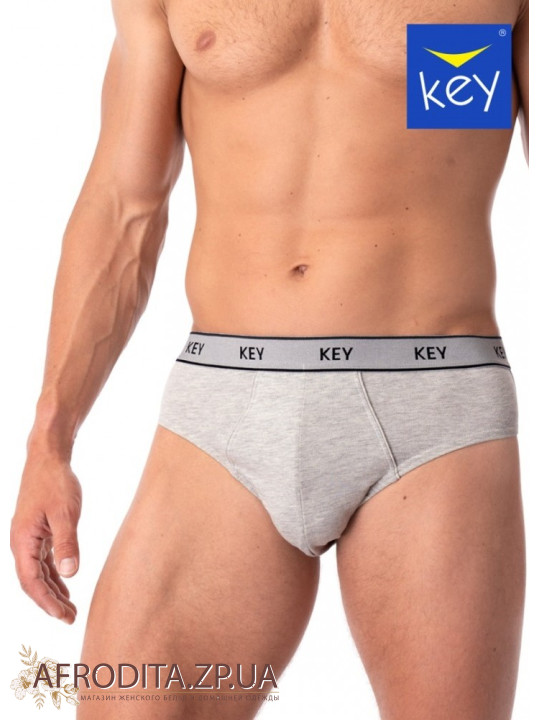 Мужские трусы слип Key MPP 222 светло-серый