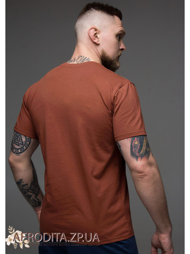Мужская футболка 1207-16123