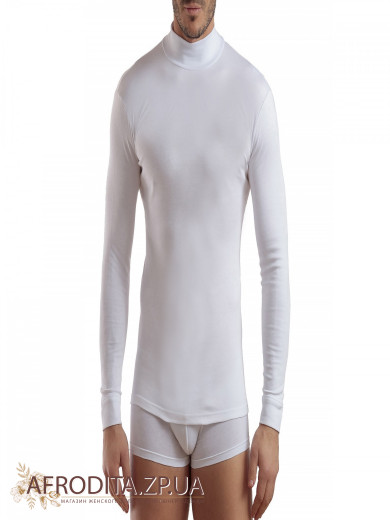 Чоловічий гольф Enrico Coveri ET1205