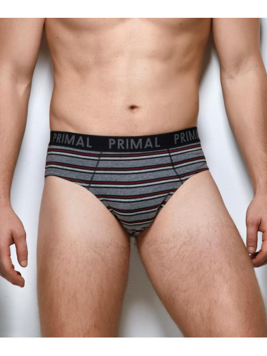 Чоловічі труси сліп Primal S303