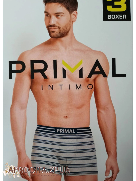 Чоловічі труси боксери Primal B356