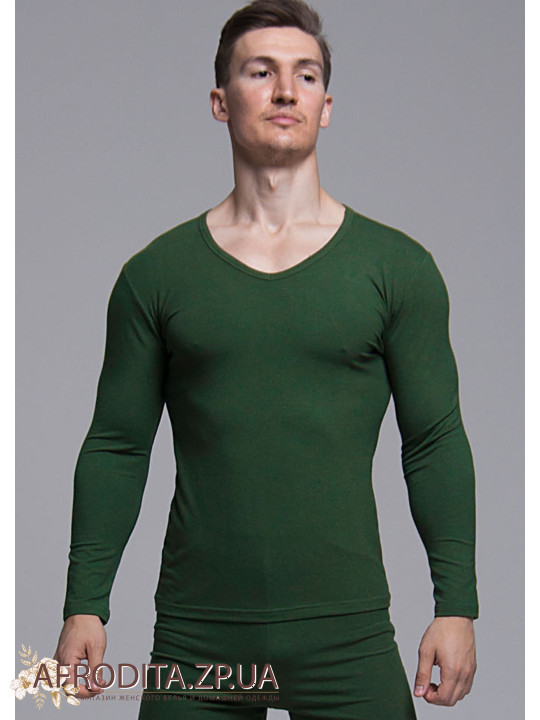 Чоловічий джемпер 1219-68315