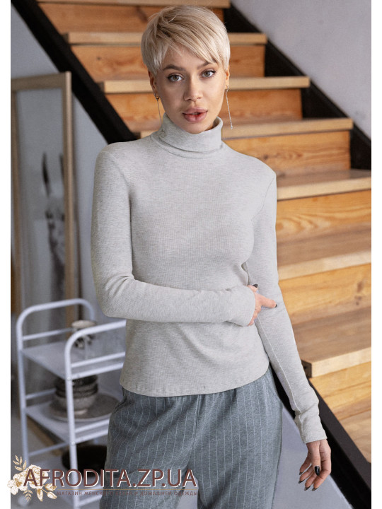 Джемпер с длинным рукавом 1623-43001