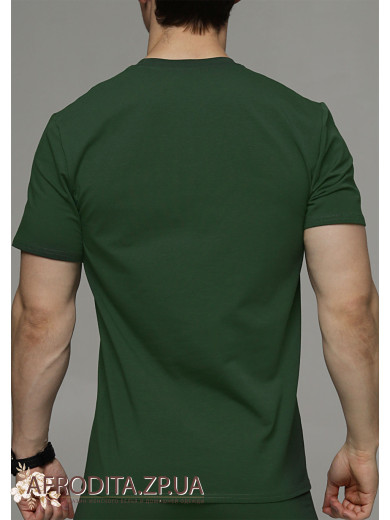 Мужская футболка 1207-16043