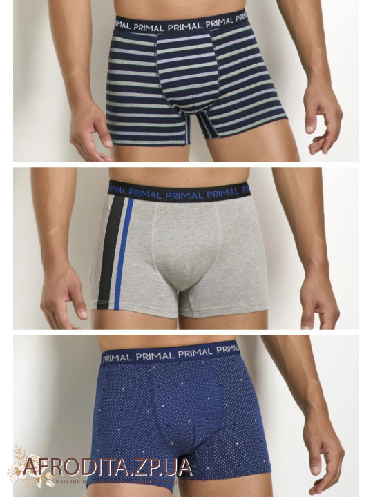 Чоловічі труси боксери Primal B338