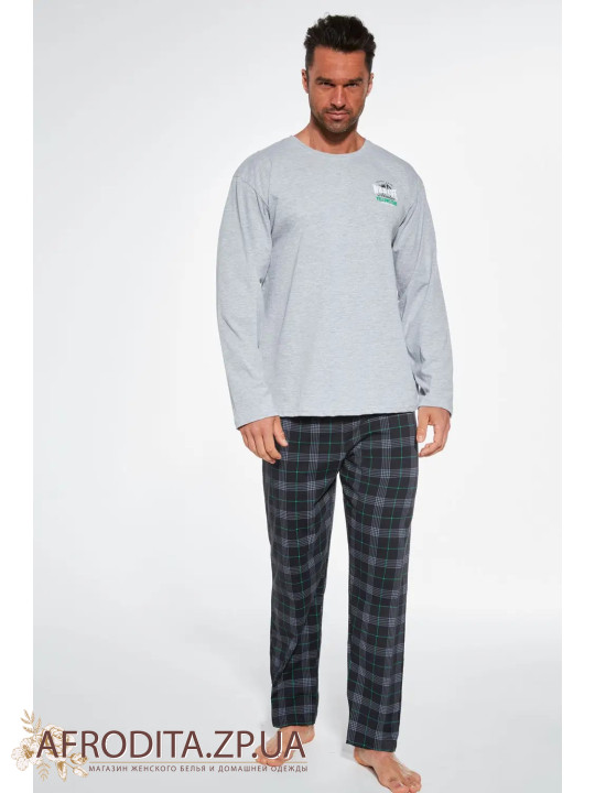 Пижама мужская со штанами 243 Adventure