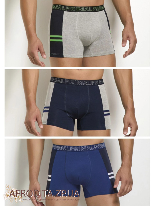 Чоловічі труси боксери Primal B341