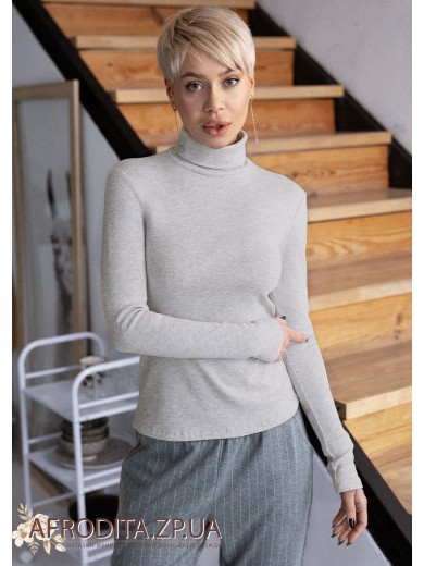 Джемпер з довгим рукавом 1623-43001