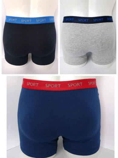 Мужские трусы боксеры EnricoCoveri EB1292