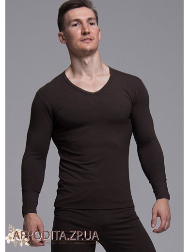 Чоловічий джемпер 1219-68015